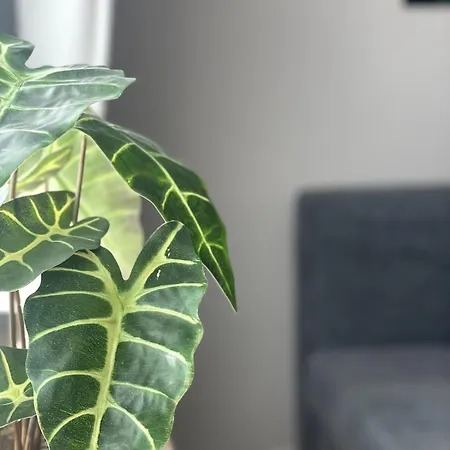 Apartamento Eifeltraum Mendig, 3 Sterne, Mendig