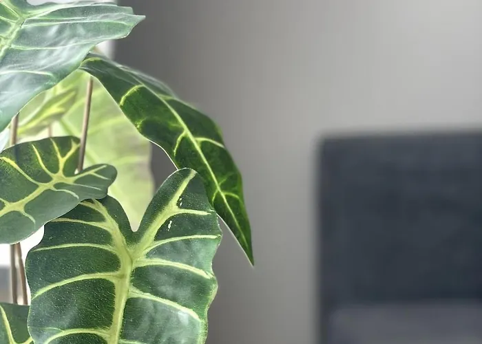 Appartement Eifeltraum Mendig, 3 Sterne, Mendig